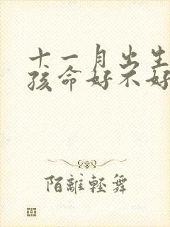 十一月出生的男孩命好不好