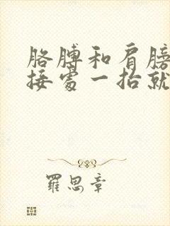 胳膊和肩膀的连接处一抬就疼还响