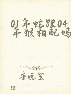 01年蛇跟04年猴相配吗