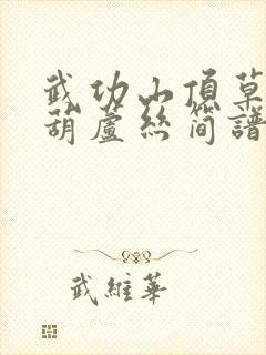 武功山顶草原美葫芦丝简谱