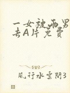 一女被两男桶进去A片免费