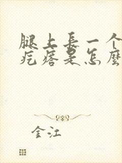 腿上长一个小红疙瘩是怎么回事