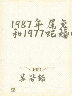 1987年属兔和1977蛇婚配好吗?封面