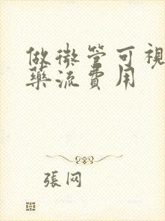 做微管可视无痛药流费用