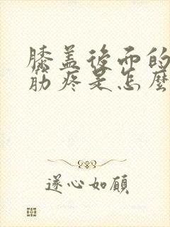 膝盖后面的两个筋疼是怎么回事