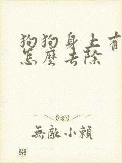 狗狗身上有螨虫怎么去除