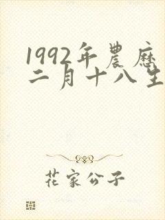 1992年农历二月十八生辰八字