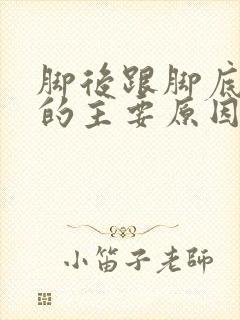 脚后跟脚底板痛的主要原因