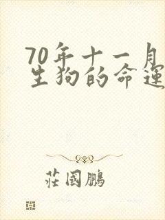70年十一月出生狗的命运