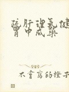 疏肝理气健脾和胃中成药