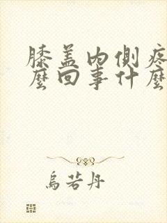 膝盖内侧疼是怎么回事什么原因引起的