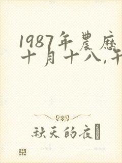 1987年农历十月十八,午时出生的女孩命