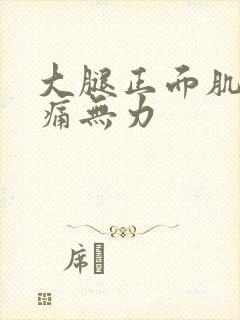 大腿正面肌肉酸痛无力