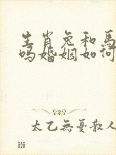 生肖兔和马相配吗婚姻如何