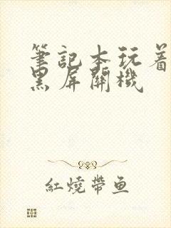 笔记本玩着玩着黑屏关机