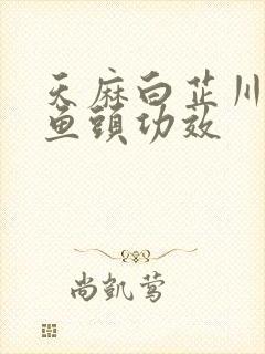 天麻白芷川芎炖鱼头功效