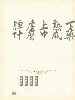 脾虚上热下寒吃什么中成药效果最好