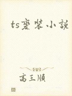 ts变装小说封面