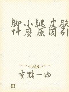 脚小腿皮肤痒是什么原因引起的封面