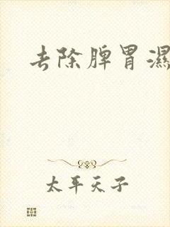 去除脾胃湿气重封面