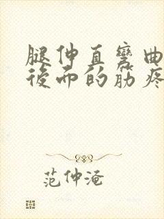 腿伸直弯曲膝盖后面的筋疼