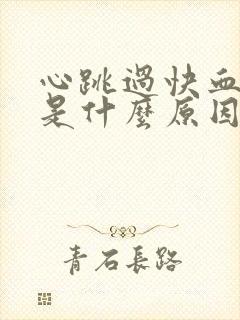 心跳过快血压高是什么原因