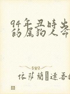 94年丑时出生的属狗人命运