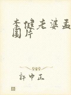 李健老婆孟小蓓图片