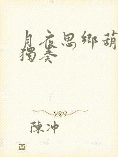 月夜思乡葫芦丝独奏封面