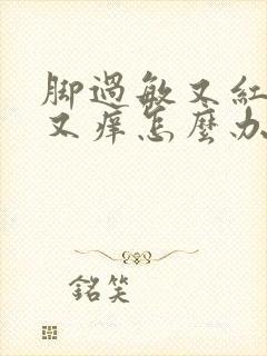 脚过敏又红又肿又痒怎么办