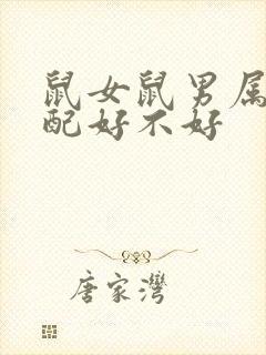 鼠女鼠男属相婚配好不好