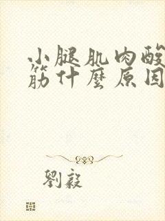 小腿肌肉酸痛抽筋什么原因引起的