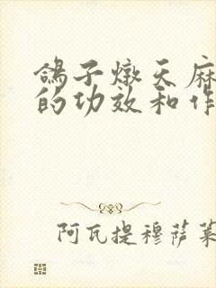 鸽子炖天麻三七的功效和作用