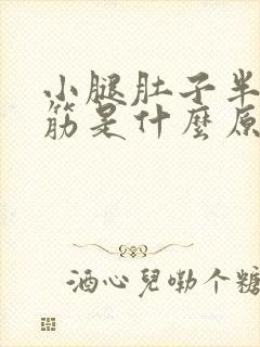 小腿肚子半夜抽筋是什么原因引起的