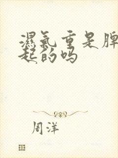 湿气重是脾虚引起的吗