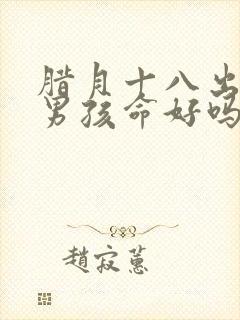 腊月十八出生的男孩命好吗