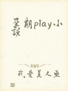 孕期play小说