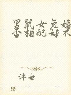 男鼠女兔婚姻是否相配好不好封面