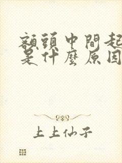 额头中间起粉刺是什么原因封面