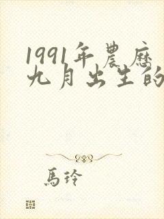 1991年农历九月出生的羊