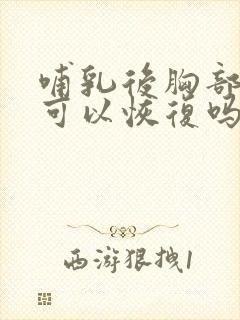 哺乳后胸部变小可以恢复吗