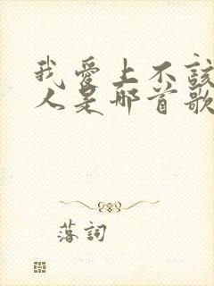 我爱上不该爱的人是哪首歌的歌词封面