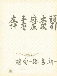 左手麻木头晕是什么原因引起的封面