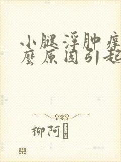 小腿浮肿痒是什么原因引起的