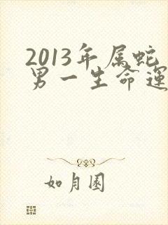 2013年属蛇男一生命运
