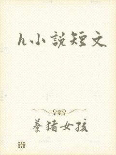 h小说短文封面