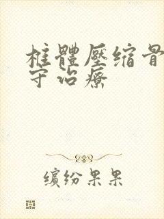 椎体压缩骨折保守治疗封面