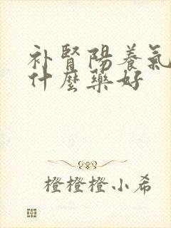 补肾阳养气血吃什么药好