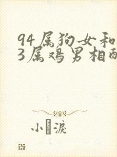 94属狗女和93属鸡男相配吗