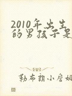 2010年出生的男孩子是什么命